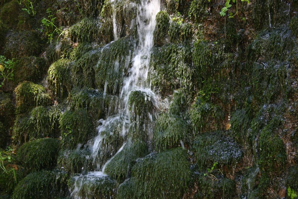 Alojamiento Rural Sierra De Gudar Valbona Extérieur photo
